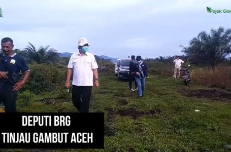 Deputi BRG Tinjau Gambut Aceh