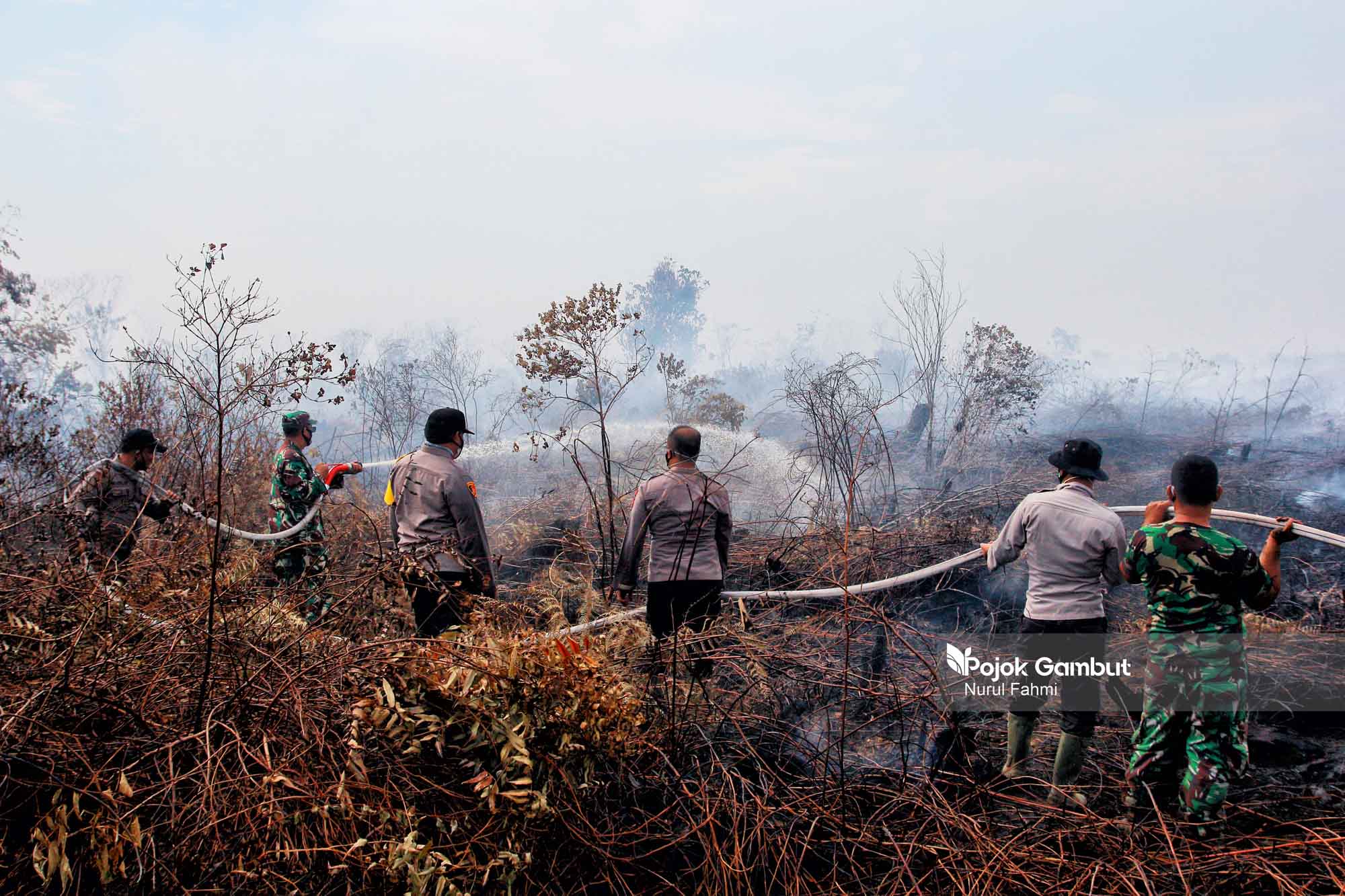 Kebakaran Lima Hektare Lahan Gambut di Aceh Barat